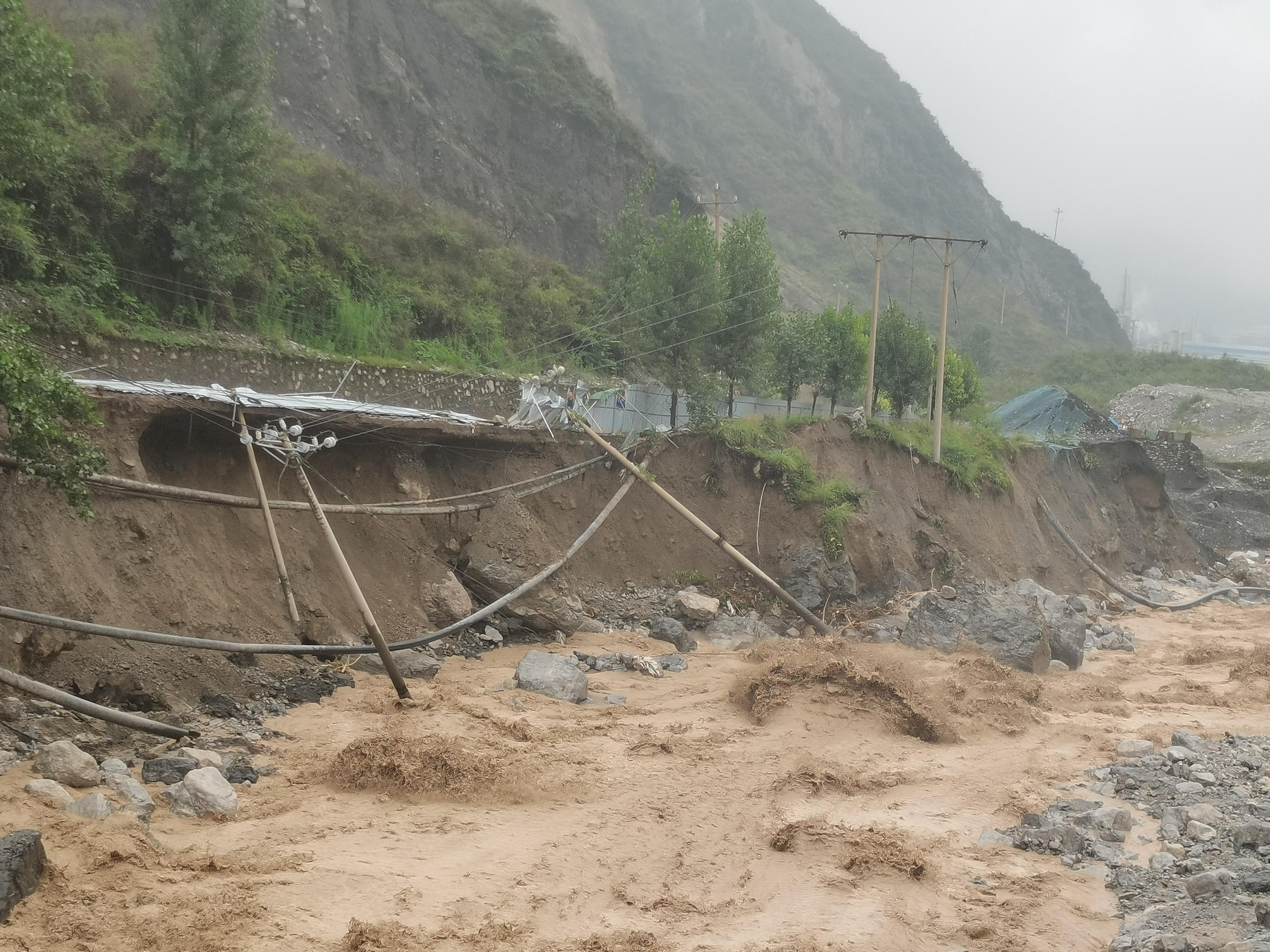 1741139252558628.jpg u=4250611675,2388997818&fm=3003&app=3003&f=JPEG.jpg