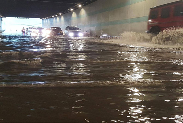 1741313331948682.png 未标题-1.png