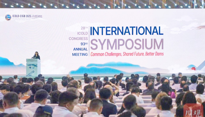 1747792723976070.jpg 174771956641374700_a700xH.jpg